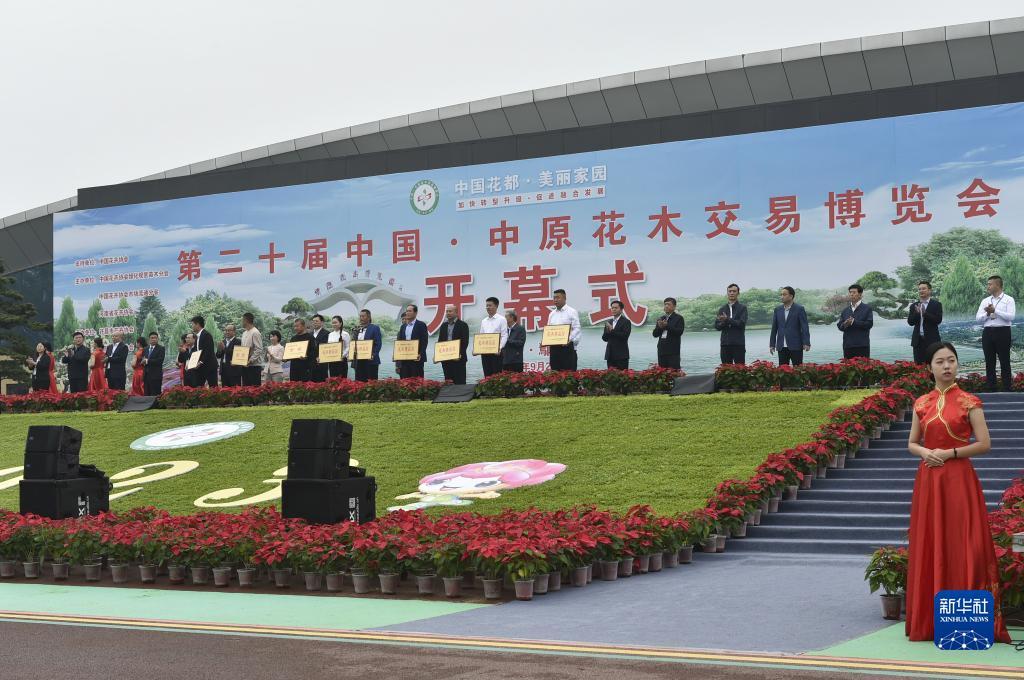 银河网投